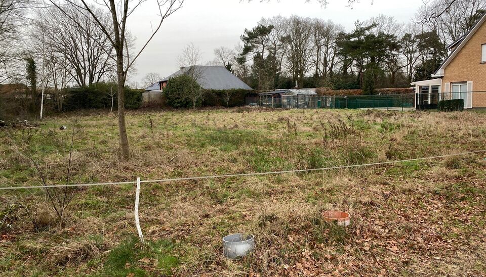 Bouwgrond (projecten) te koop in Zoersel