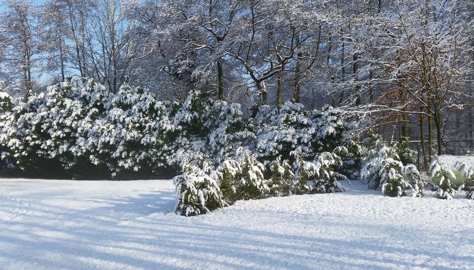 Huis te koop in Geel